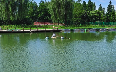 生态环境空气质量监测应用