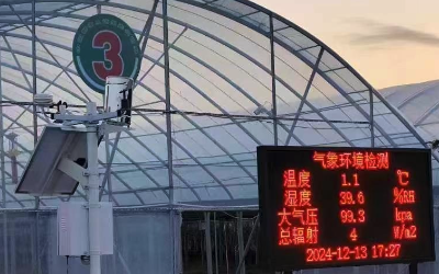 大棚种植环境监测