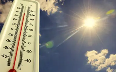 热应激指数评估在线监测