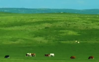 草原牧场土壤养分与盐碱化监测