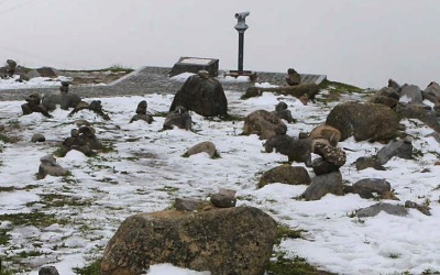 碳通量、蒸散通量监测