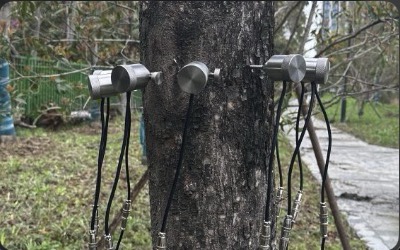 树木空心应力波监测