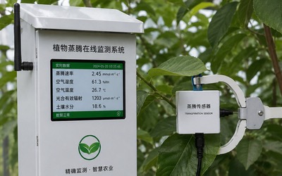 植物蒸腾在线监测